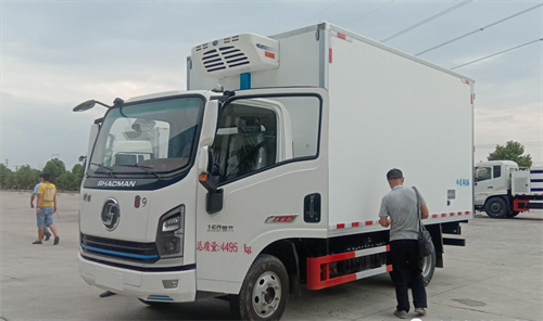 國(guó)六陜汽商用翼9 藍(lán)牌冷藏車 150馬力 純正陜汽血統(tǒng) 全面符合法規(guī)